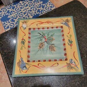 LENOX  WINTER EVERYDAY 15" Square Tray Serving Platter BLUE JAY BIRDS